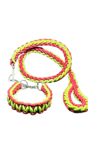 Dog Collar and Leash Set, Heavy Duty Nylon Braided Rope Strong 4 FT Dog Leash and Dog Training Collar for Small Medium Large Dogs