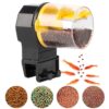 Smart Timed Auto Feeder