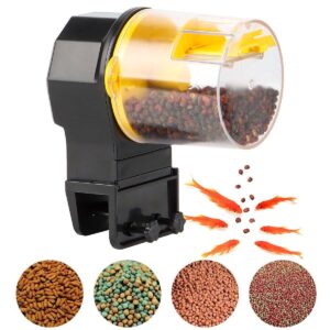 Smart Timed Auto Feeder