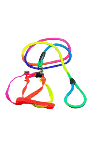 dog leash with Dog Harness rainbow colors
