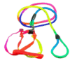 dog leash with Dog Harness rainbow colors