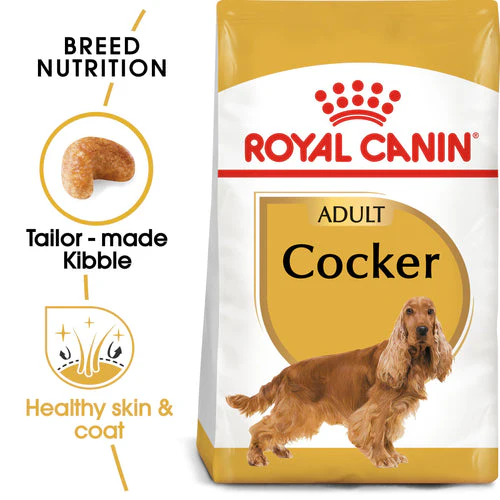 Royal Canin Cocker Dry Food For Adult (3 KG) 1900 Royal Canin Cocker Dry Food For Adult 3 KG