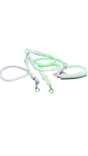 dogs leash 2 dogs at same leash with pastel colors large