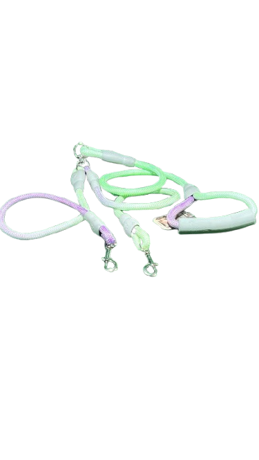 dogs leash 2 dogs at same leash with pastel colors large
