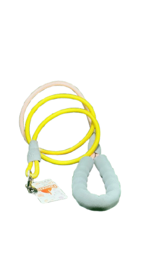 dogs leash with pastel colors
